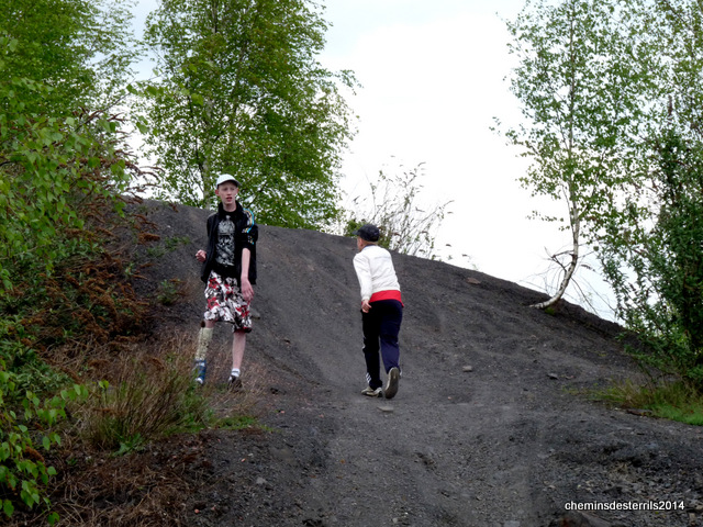 Terril des Aulnias 010