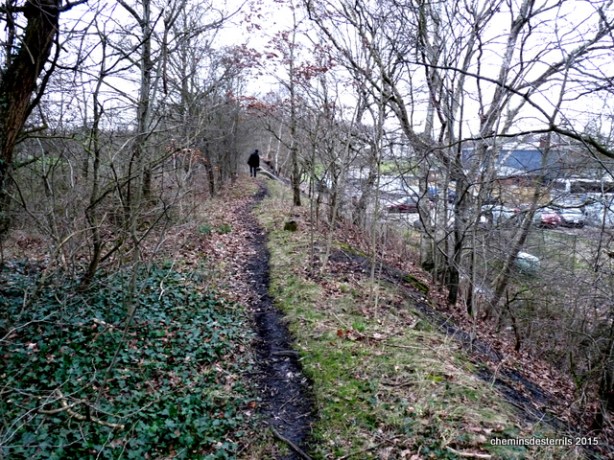 terril du Cerisier cheminement ferroviaire le long des terrains de foot067