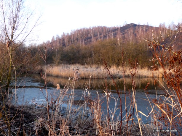 Terril de la Machine du bois Goutroux 065