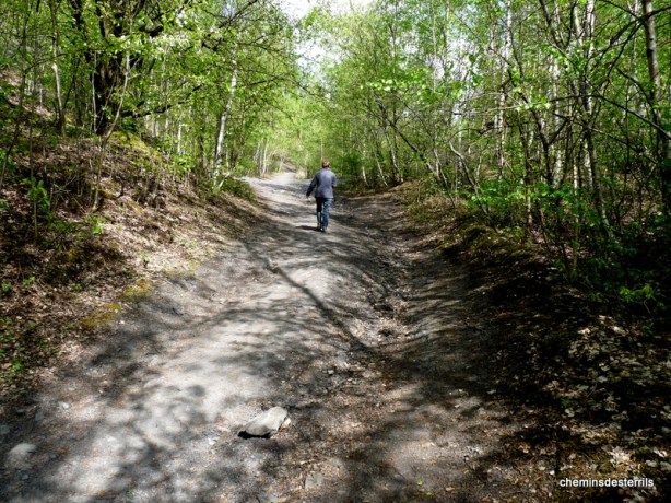 Au pied du terril des Aulniats