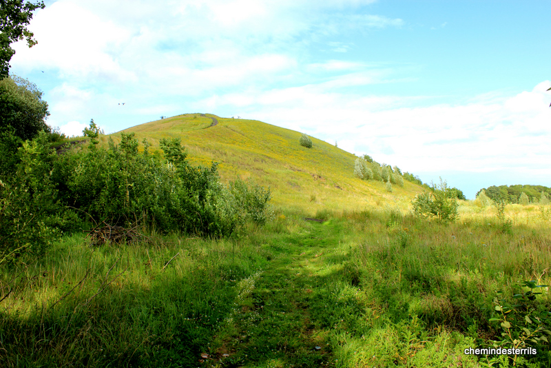 Terril Siège n°2 Fontaine l'Evêque 048