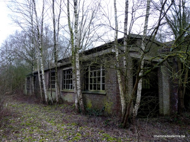 1-Terril du Martinet 050